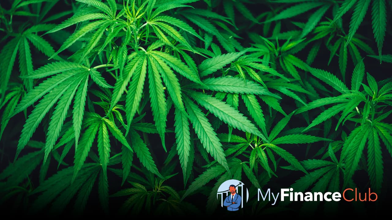 il mercato della cannabis
